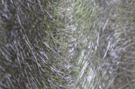 Pickwell fibreglass roof work